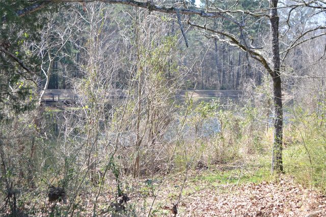 Lot 128, 144 County Road 2123, Quitman, TX 75783