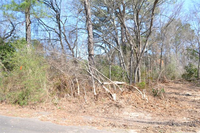 Lot 128, 144 County Road 2123, Quitman, TX 75783