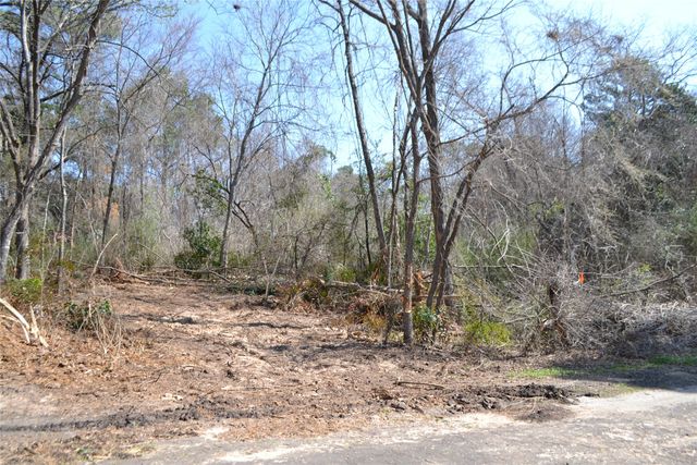 Lot 128, 144 County Road 2123, Quitman, TX 75783
