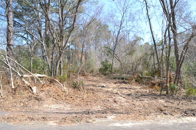 Lot 128, 144 County Road 2123, Quitman, TX 75783