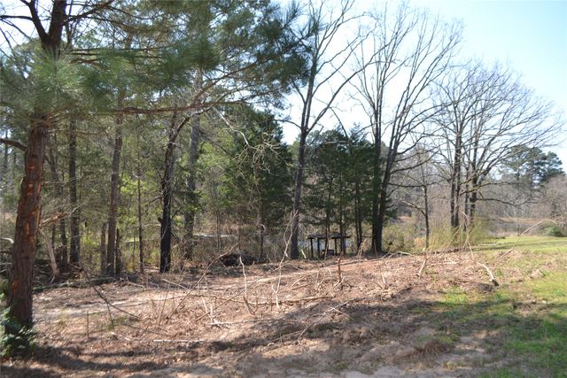 Lot 128, 144 County Road 2123, Quitman, TX 75783