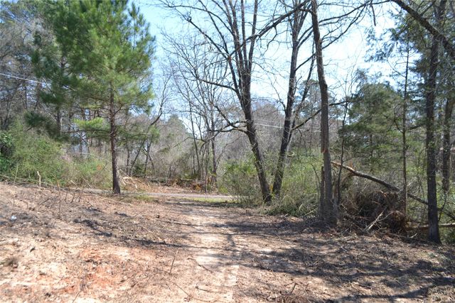 Lot 128, 144 County Road 2123, Quitman, TX 75783
