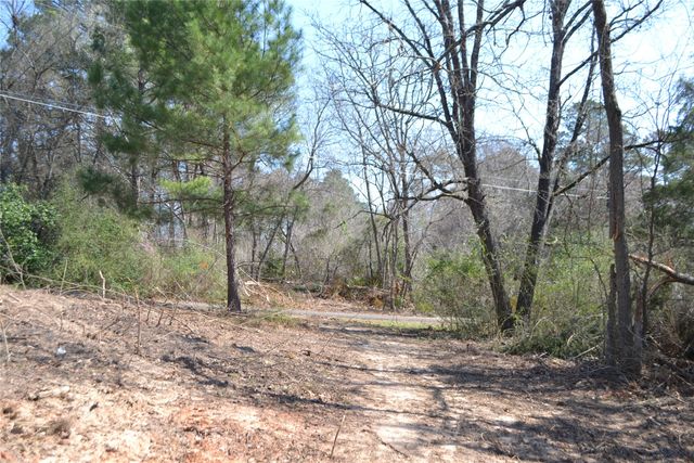 Lot 128, 144 County Road 2123, Quitman, TX 75783