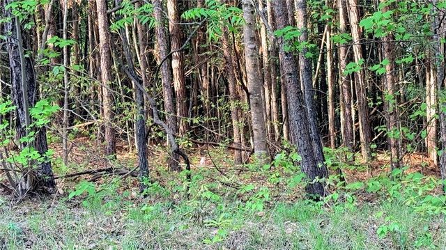 LOT 7A Pea Ridge Road, Ball Ground, GA 30107