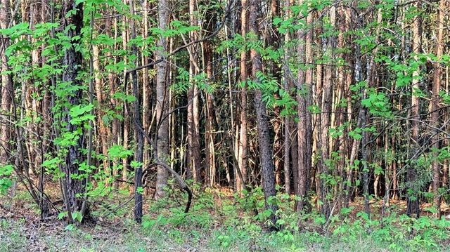 LOT 7A Pea Ridge Road, Ball Ground, GA 30107