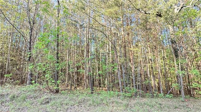 LOT 7A Pea Ridge Road, Ball Ground, GA 30107