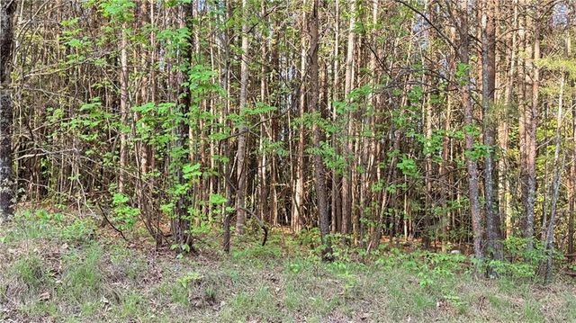 LOT 7A Pea Ridge Road, Ball Ground, GA 30107