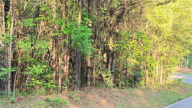 LOT 7A Pea Ridge Road, Ball Ground, GA 30107