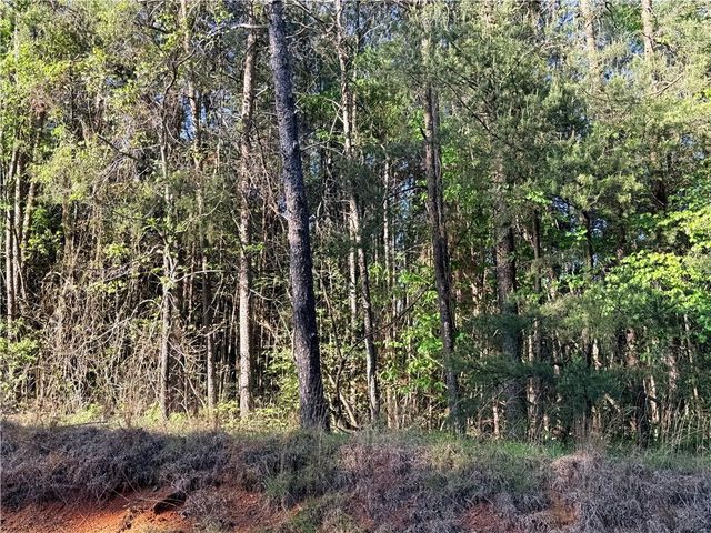 LOT 7A Pea Ridge Road, Ball Ground, GA 30107