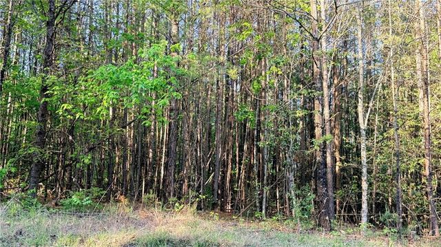 LOT 7A Pea Ridge Road, Ball Ground, GA 30107