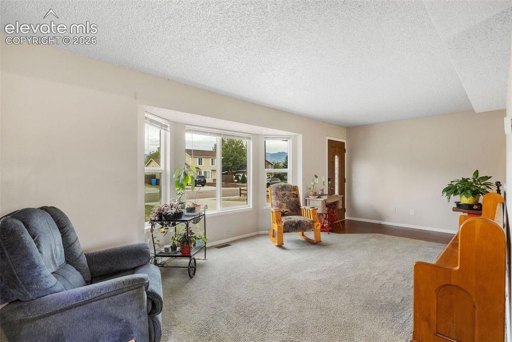 4473 Fenton Road, Colorado Springs, CO 80916 — photo 5