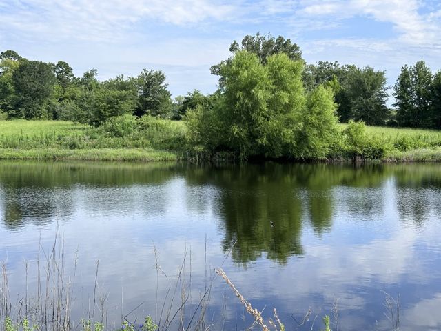 2092 Fm 21, Pittsburg, TX 75686