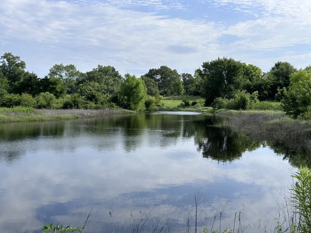 2092 Fm 21, Pittsburg, TX 75686