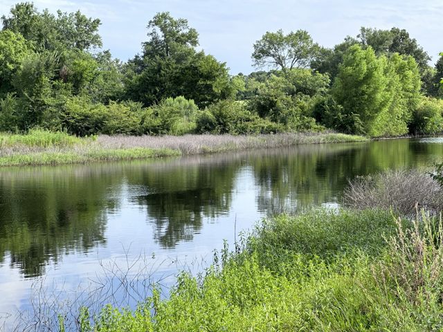 2092 Fm 21, Pittsburg, TX 75686