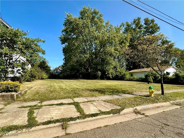 1191 Big Falls Avenue, Akron, OH 44310