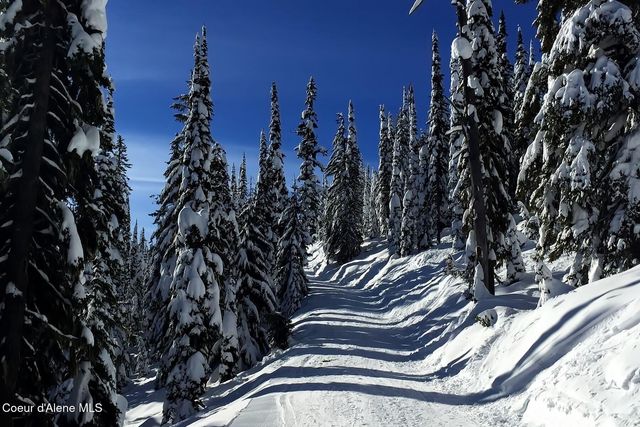 NNA Tall Timber B1 L2, Sandpoint, ID 83864