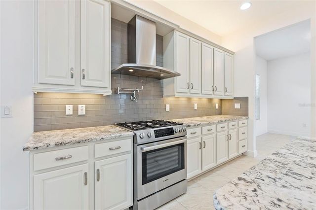 30900 SPRUCEBERRY COURT, Wesley Chapel, FL 33543