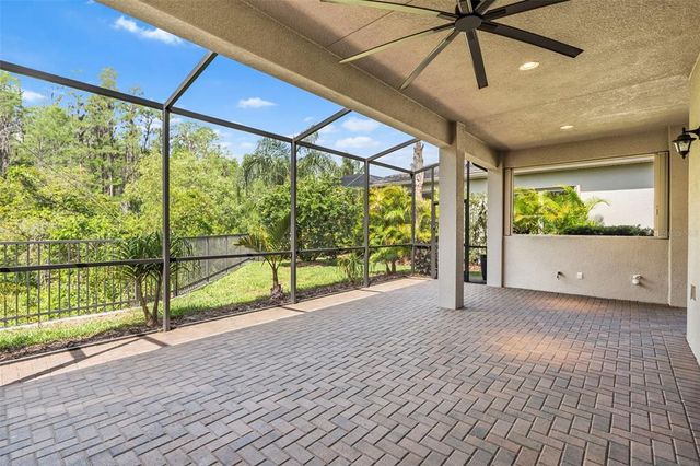 30900 SPRUCEBERRY COURT, Wesley Chapel, FL 33543