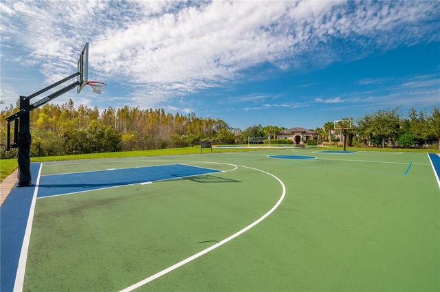 30900 SPRUCEBERRY COURT, Wesley Chapel, FL 33543