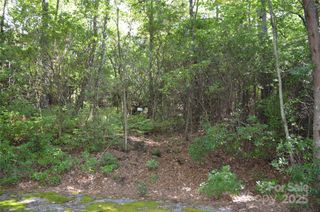 Lot 9 Galax Lane 9, Brevard, NC 28712