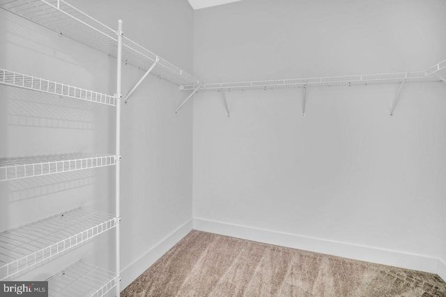10208 DONATELLO, Princeton, NJ 08540