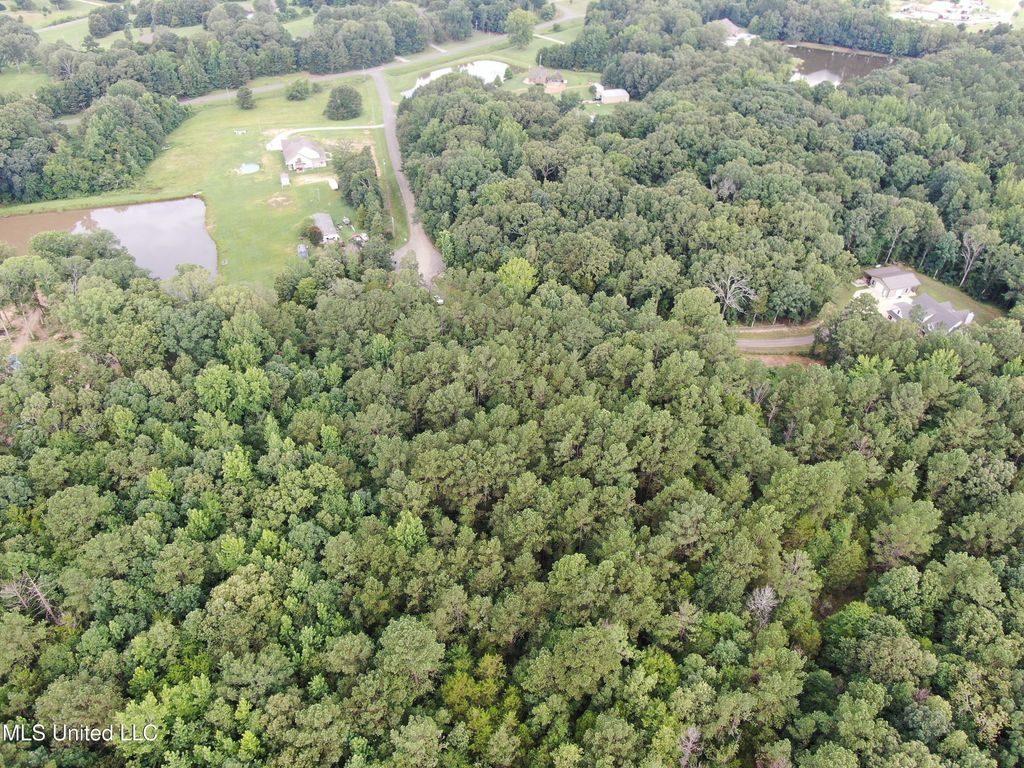 14495 Valley View, Byhalia, MS 38611 — photo 4