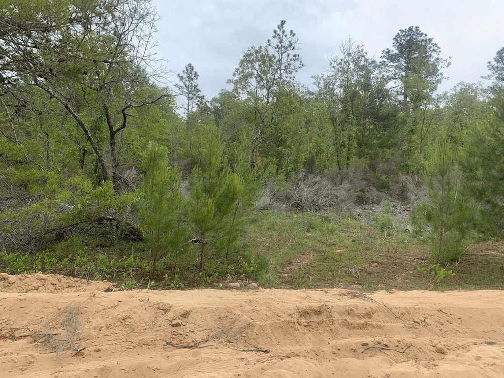 0 May Lane, Interlachen, FL 32148