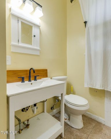 313 West Pine Street, Johnson City, TN 37604