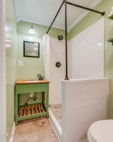 313 West Pine Street, Johnson City, TN 37604