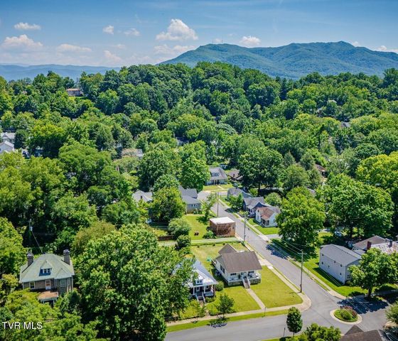 313 West Pine Street, Johnson City, TN 37604