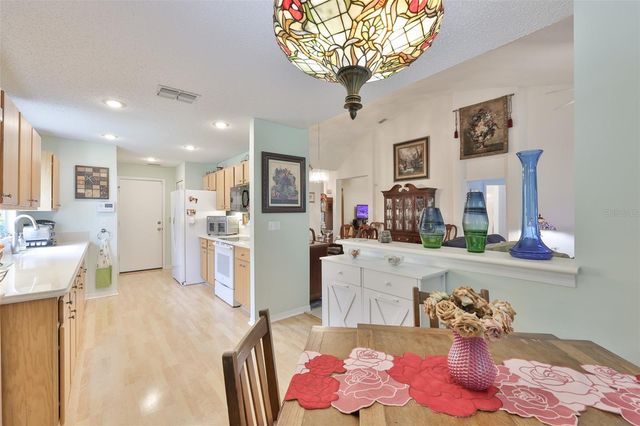 2305 OLIVE BRANCH DRIVE, Sun City Center, FL 33573