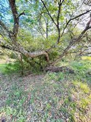 1147 County Road 156, Columbus, TX 78934