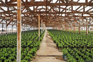 Cassou Road, San Marcos, CA 92069