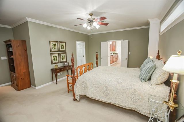 4520 County Road 819c, Brazoria, TX 77422