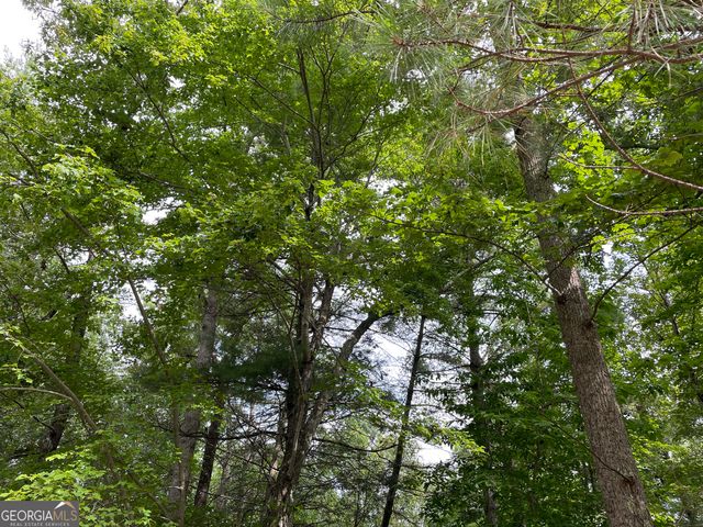 LOT13 Sour Apple Lane 13, Blairsville, GA 30512