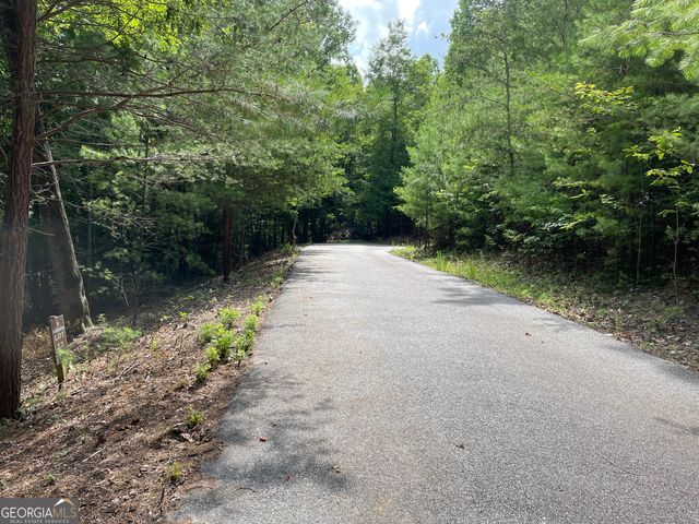 LOT13 Sour Apple Lane 13, Blairsville, GA 30512