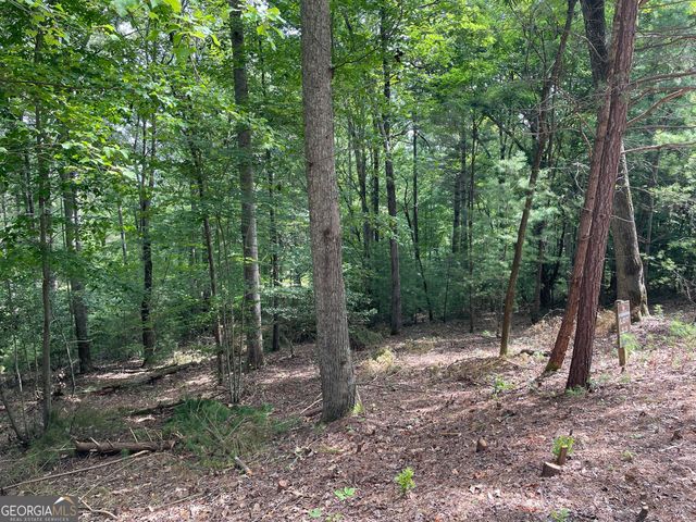 LOT13 Sour Apple Lane 13, Blairsville, GA 30512