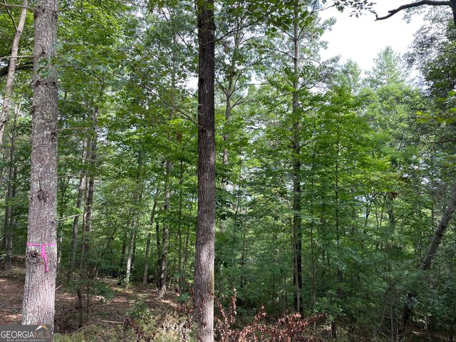 LOT13 Sour Apple Lane 13, Blairsville, GA 30512