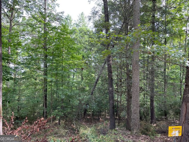 LOT13 Sour Apple Lane 13, Blairsville, GA 30512
