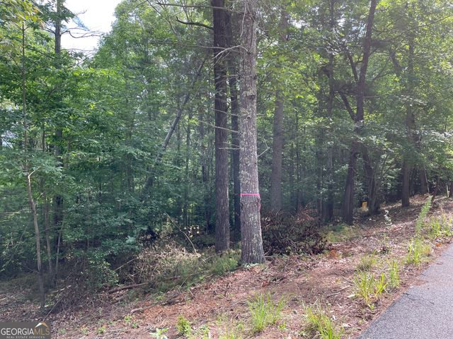 LOT13 Sour Apple Lane 13, Blairsville, GA 30512