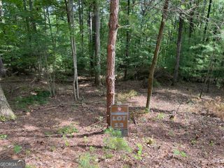 LOT13 Sour Apple Lane 13, Blairsville, GA 30512