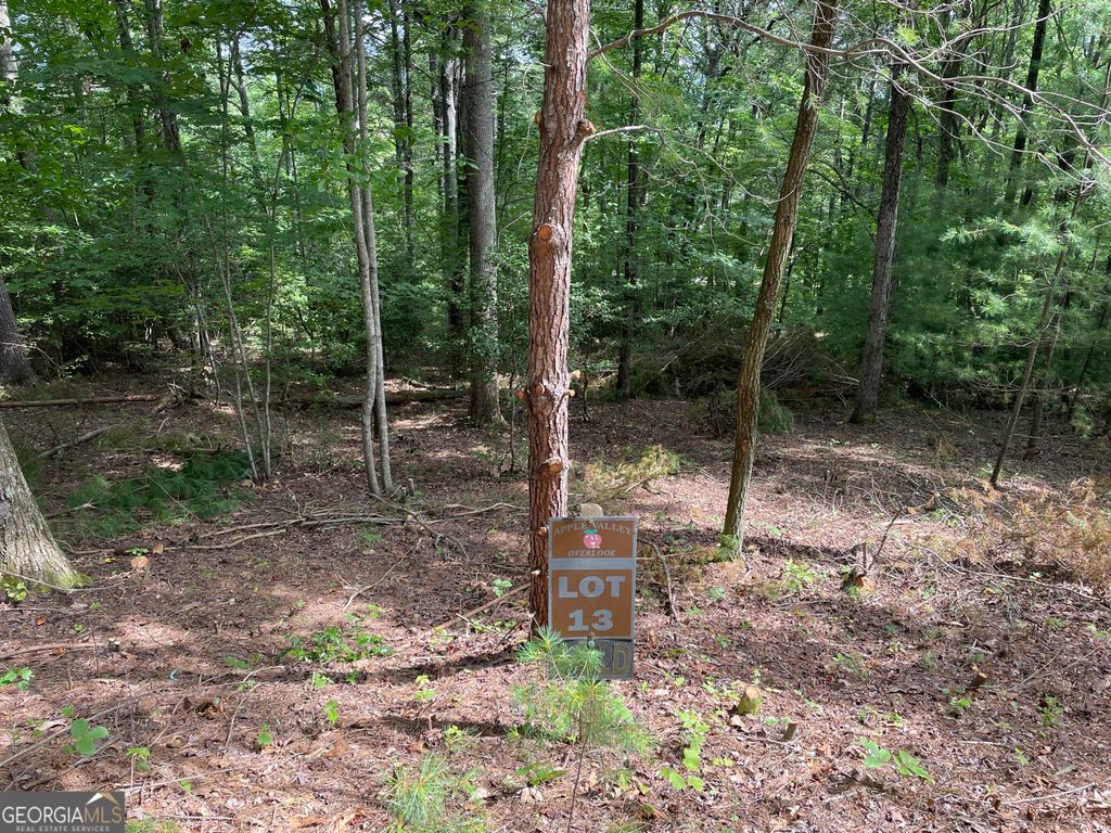 LOT13 Sour Apple Lane 13, Blairsville, GA 30512