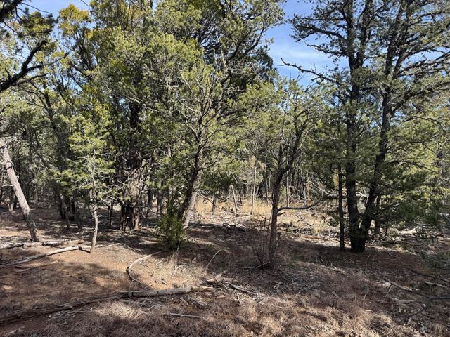 86 Candelaria Road, Tijeras, NM 87059