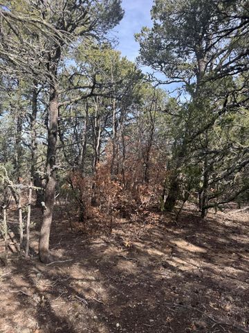 86 Candelaria Road, Tijeras, NM 87059