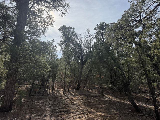 86 Candelaria Road, Tijeras, NM 87059