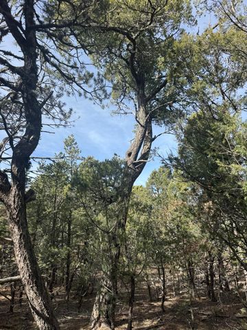 86 Candelaria Road, Tijeras, NM 87059