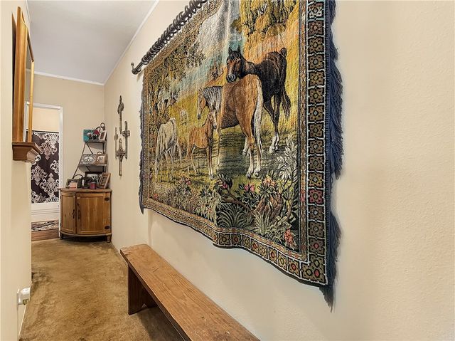 10134 Cobb Branch Road, Franklin, TX 77856