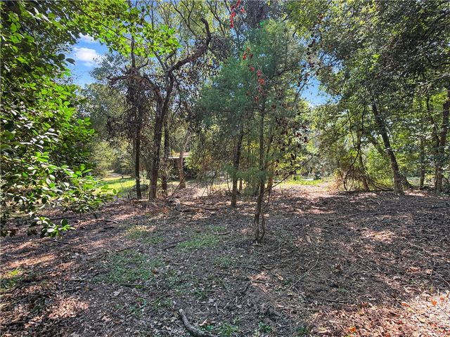 10134 Cobb Branch Road, Franklin, TX 77856