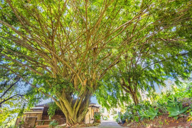 1854 Olinda Rd, Makawao, HI 96768