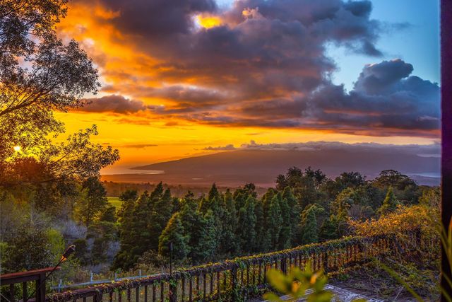 1854 Olinda Rd, Makawao, HI 96768